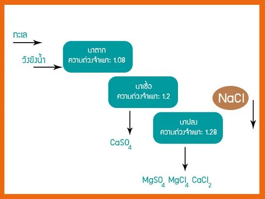 เกลือสมุทร เกลืออุปโภคบริโภค